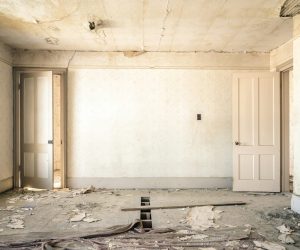 nolan-issac-K5sjajgbTFw-unsplash